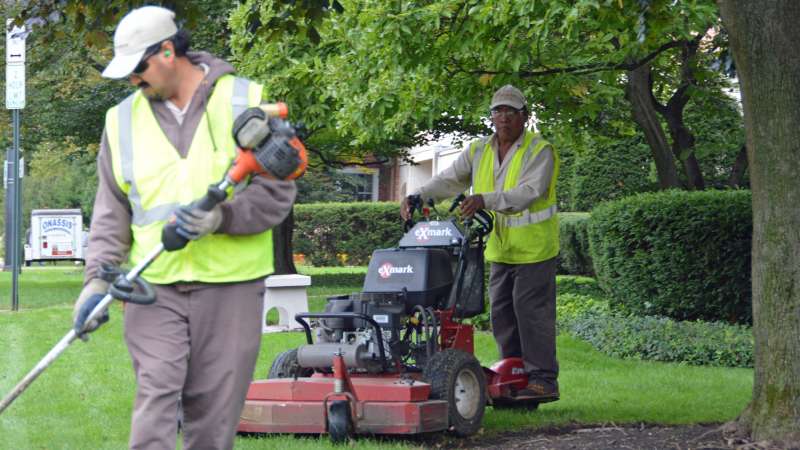 Low-Maintenance Design/Conversion